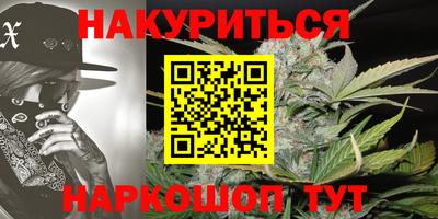 индика Шебекино